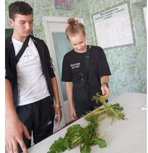 зображення_viber_2023-11-17_15-15-18-436